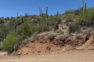 32050 S Lisa Dr, Black Canyon City, AZ 85324 - Photo 13