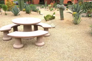 12222 N Paradise Vlg Pkwy S, Phoenix, AZ 85032 - Photo 19