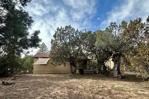 2927 Wildcat Trail, Overgaard, AZ 85933 - Photo 5