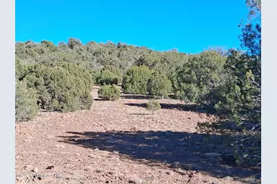 201 County Rd N8715 -- #-, Concho, AZ 85924 - Photo 15