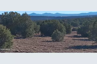 5 County Rd N8285 -- #-, Concho, AZ 85924 - Photo 5