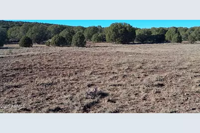 5 County Rd N8285 -- #-, Concho, AZ 85924 - Photo 11