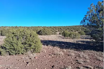 19 County Rd N8285 -- #-, Concho, AZ 85924 - Photo 21