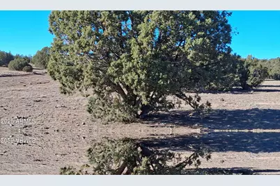 19 County Rd N8285 -- #-, Concho, AZ 85924 - Photo 9