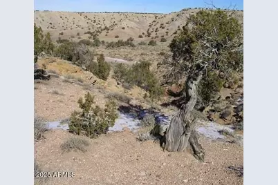 150 N County Rd. N 6100 -- #_, Saint Johns, AZ 85936 - Photo 1