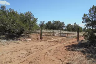 568 County Rd N7407, Saint Johns, AZ 85936 - Photo 1