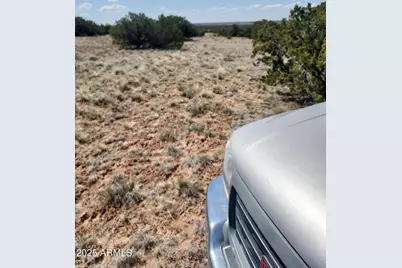 568 County Road N7407 -- #-, Saint Johns, AZ 85936 - Photo 5