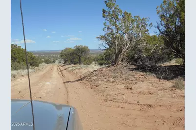 568 County Road N7407 -- #-, Saint Johns, AZ 85936 - Photo 9