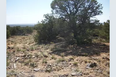 568 County Road N7407 -- #-, Saint Johns, AZ 85936 - Photo 3
