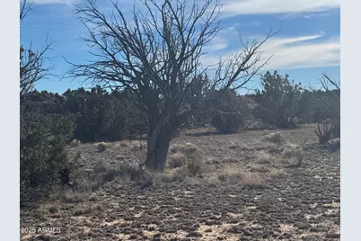 Lot 98 Woodland Valley Ranch -- #98, Saint Johns, AZ 85936 - Photo 7