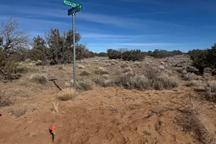 Lot 98 Woodland Valley Ranch --, Saint Johns, AZ 85936 - Photo 1