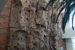 8522 W Gehrig Wy, Florence, AZ 85132 - Photo 23