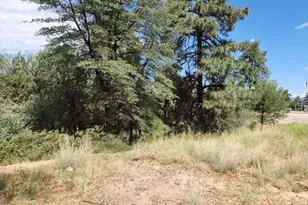 910 N Beeline Hwy, Payson, AZ 85541 - Photo 1