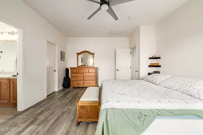 44296 W Desert Plant Trail, Maricopa, AZ 85139 - Photo 19