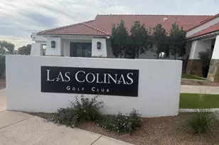 22609 S 214th Way, Queen Creek, AZ 85142 - Photo 31