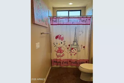 4655 E Quailbrush Road, Cave Creek, AZ 85331 - Photo 91