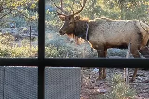 6215 W Sharyn Rd, Pine, AZ 85544 - Photo 75