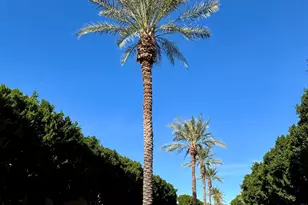 7307 E Vaquero Dr, Scottsdale, AZ 85258 - Photo 11