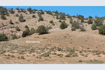 200 Acre Ranch #B, Williams, AZ 86046 - Photo 17