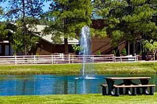 2677 Palomino Trail, Overgaard, AZ 85933 - Photo 47