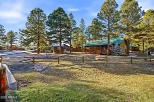 2677 Palomino Trail, Overgaard, AZ 85933 - Photo 31