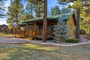 2677 Palomino Trail, Overgaard, AZ 85933 - Photo 29