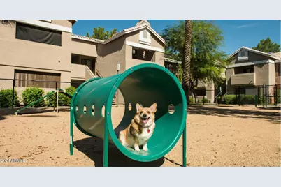 13440 N 44th Street #3, Phoenix, AZ 85032 - Photo 13