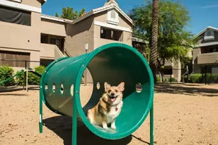 13440 N 44th St, Phoenix, AZ 85032 - Photo 13