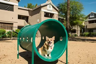 13440 N 44th St, Phoenix, AZ 85032 - Photo 13