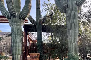 5440 E 7 Palms Dr, Cave Creek, AZ 85331 - Photo 3