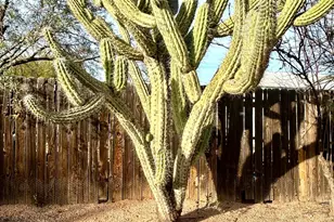 5440 E 7 Palms Dr, Cave Creek, AZ 85331 - Photo 51