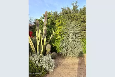 5440 E Seven Palms Drive, Cave Creek, AZ 85331 - Photo 11