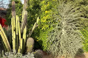 5440 E 7 Palms Dr, Cave Creek, AZ 85331 - Photo 11