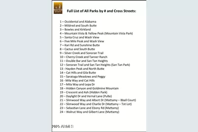 2318 W Angel Way, San Tan Valley, AZ 85144 - Photo 69