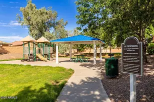 2318 W Angel Way, San Tan Valley, AZ 85144 - Photo 61