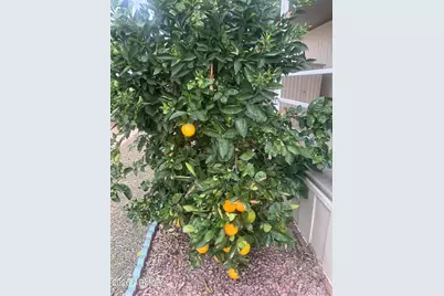 11425 E University Drive #49, Apache Junction, AZ 85120 - Photo 17