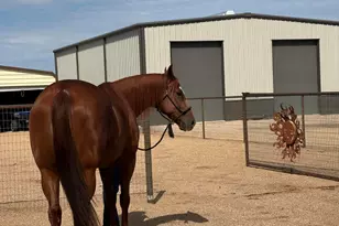 37262 N Sierra Vista Dr, San Tan Valley, AZ 85140 - Photo 31