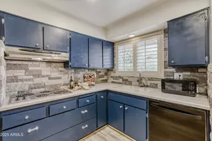 9205 W Raintree Dr, Sun City, AZ 85351 - Photo 13