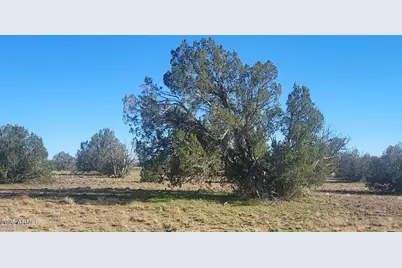 10 Acres  N. Tanner Road NE #17F, Ash Fork, AZ 86320 - Photo 3