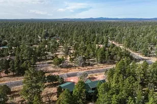 2999 Deer Path, Happy Jack, AZ 86024 - Photo 39