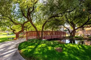 1972 W Olive Way, Chandler, AZ 85248 - Photo 19