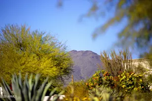 9215 E Lazywood Pl, Carefree, AZ 85377 - Photo 61