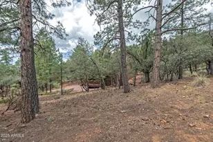 5838 E Arroyo Way, Pine, AZ 85544 - Photo 47