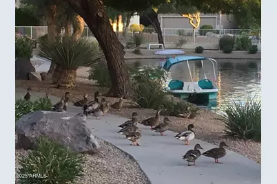 20346 N 109th Lane, Peoria, AZ 85373 - Photo 43