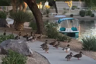 20346 N 109th Ln, Peoria, AZ 85373 - Photo 43