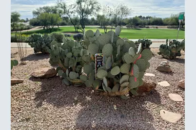 7949 E Joshua Tree Lane, Scottsdale, AZ 85250 - Photo 43