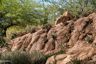 42421 N Deer Trail Rd, Cave Creek, AZ 85331 - Photo 53