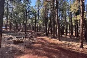 7589 E Long Bow Dr, Williams, AZ 86046 - Photo 45