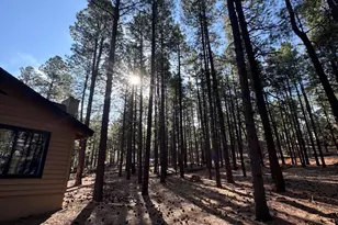 7589 E Long Bow Dr, Williams, AZ 86046 - Photo 13