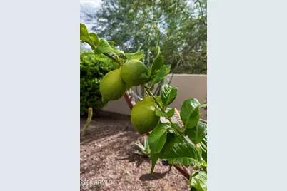 7969 E Baker Drive, Scottsdale, AZ 85266 - Photo 73